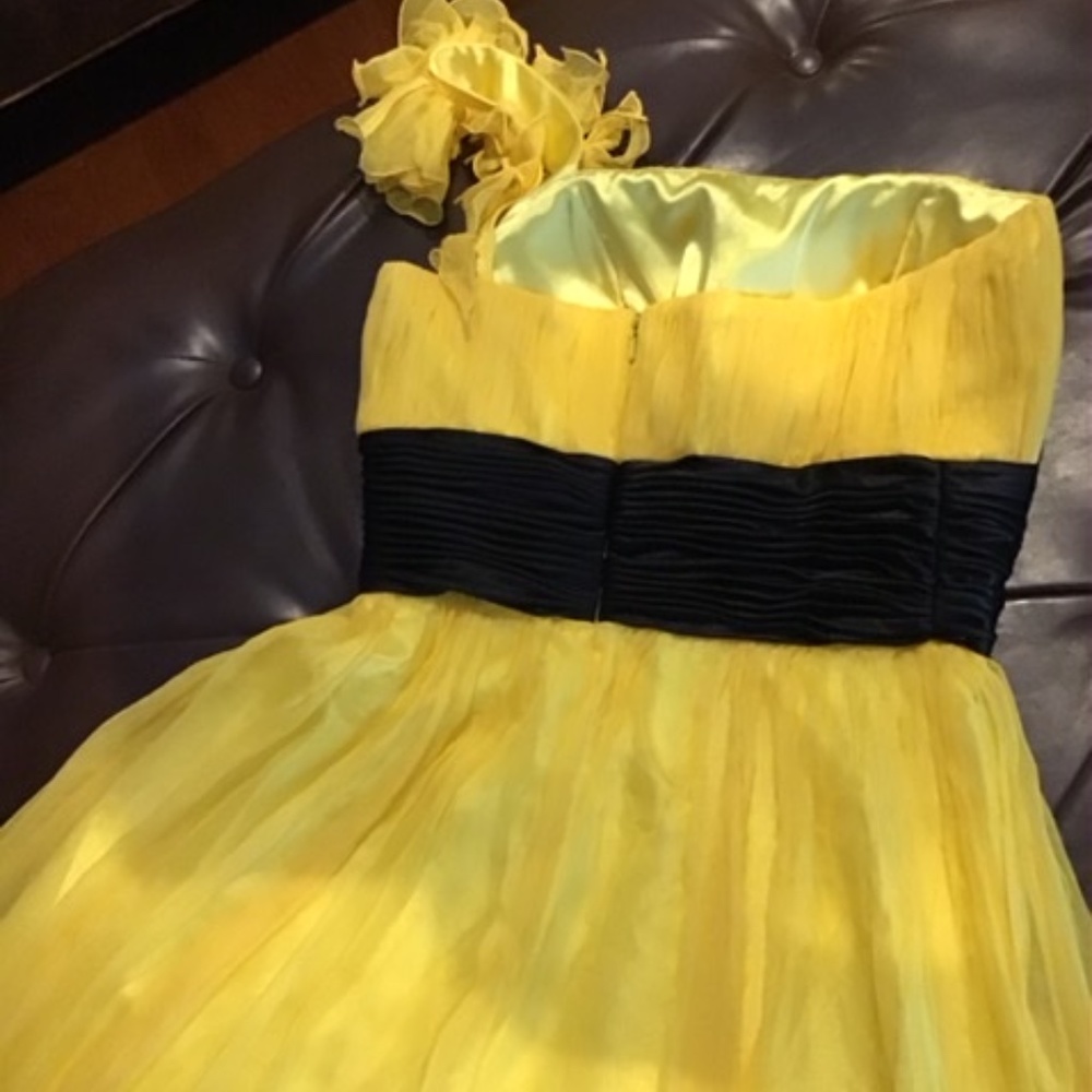 Dress - Picture 3 of 4